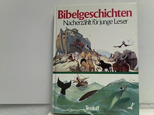 Bibelgeschichten. Nacherzählt für junge Leser