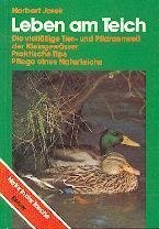 Leben am Teich