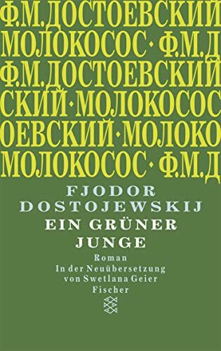 Ein grüner Junge: Roman (Fjodor M. Dostojewskij, Werkausgabe)