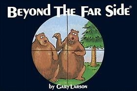 Beyond the Far Side(r)