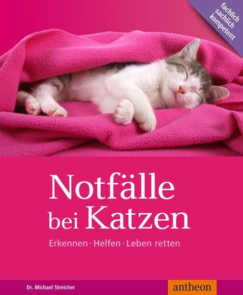 Notfälle bei Katzen: Erkennen Helfen Leben retten