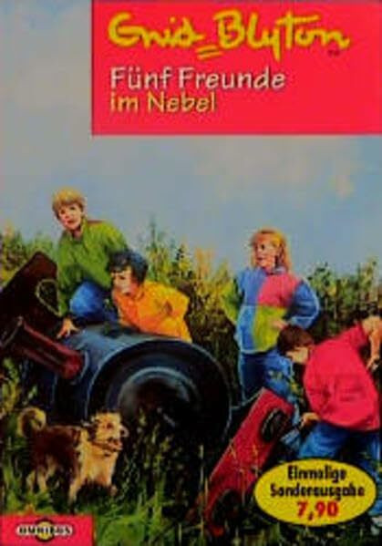 5 Freunde im Nebel (Buch)