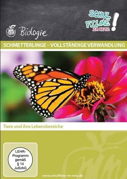 Schmetterlinge - vollständige Verwandlung