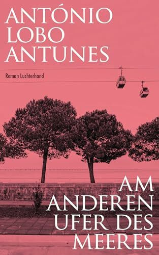 Am anderen Ufer des Meeres: Roman