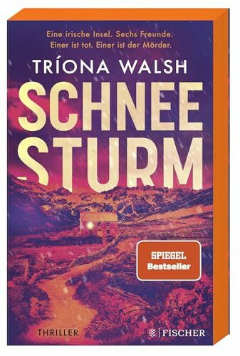 Schneesturm: Thriller | Kein Entkommen von der eisigen Insel