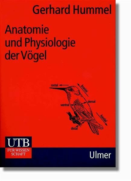 Anatomie und Physiologie der Vögel