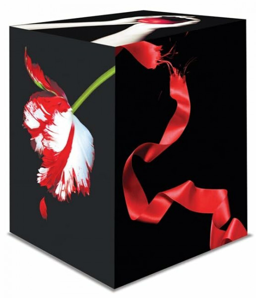 The Twilight Saga Collection Box Set: Twilight / New Moon / Eclipse / Breaking Dawn