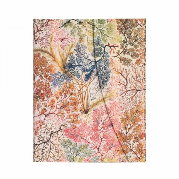 Paperblanks Hardcover Notizbücher William Kilburn | Liniert | Ultra (180 × 230 mm)