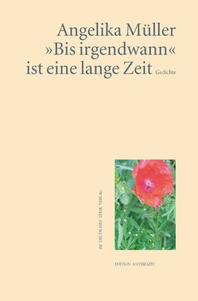'Bis irgendwann' ist eine lange Zeit: Gedichte (Edition anthrazit im deutschen lyrik verlag)