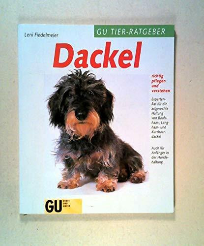 Dackel richtig pflegen und verstehen