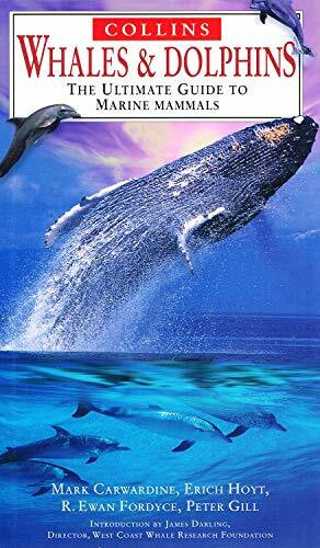 Whales and Dolphins: The Ultimate Guide to Marine Mammals (Nature Company Guides)
