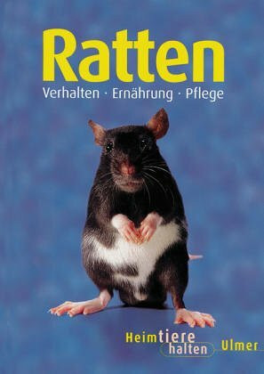 Ratten (Heimtiere halten)