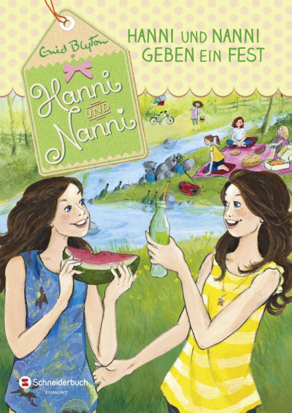 Hanni und Nanni 10: Hanni und Nanni geben ein Fest