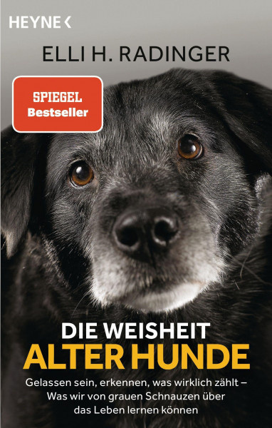 Die Weisheit alter Hunde