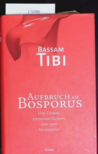 Aufbruch am Bosporus. Die Türkei zwischen Europa und dem Islamismus