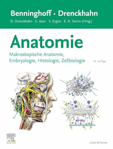 Benninghoff/Drenckhahn, Anatomie: Makroskopische Anatomie, Histologie, Embryologie, Zellbiologie (VORKLINIK - Lehrbuch - Urban & Fischer-Verlag)