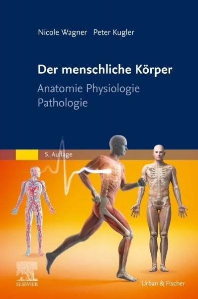Der menschliche Körper: Anatomie Physiologie Pathologie (PFLEGE - Lehrbuch - Urban & Fischer Verlag)
