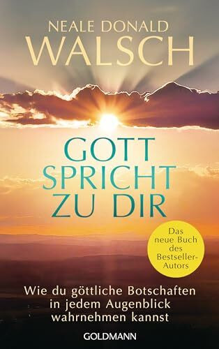 Gott spricht zu dir: Wie du göttliche Botschaften in jedem Augenblick wahrnehmen kannst