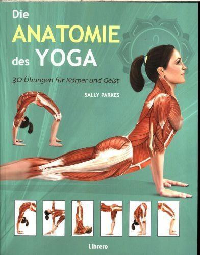 Die Anatomie des Yoga