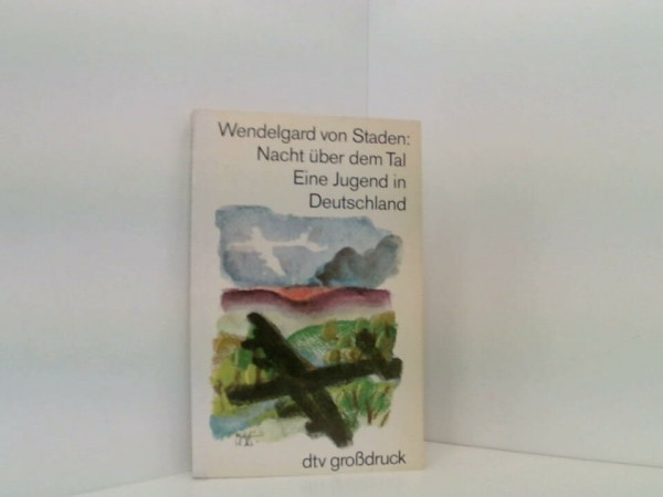 Nacht über dem Tal: Eine Jugend in Deutschland (dtv großdruck)