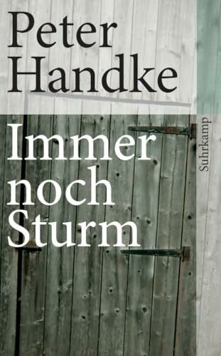 Immer noch Sturm (suhrkamp taschenbuch)
