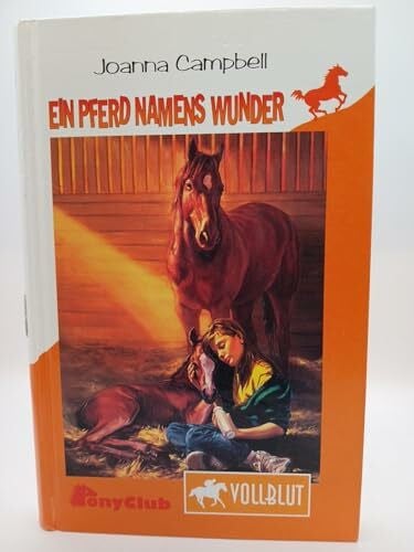 Ein Pferd namens Wunder