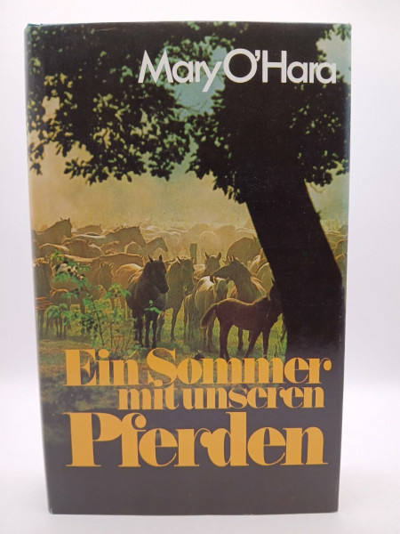 Ein Sommer mit unseren Pferden