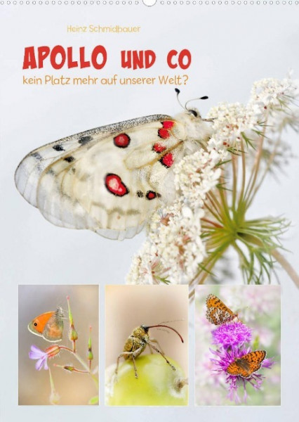 APOLLO UND CO (Wandkalender 2022 DIN A2 hoch)