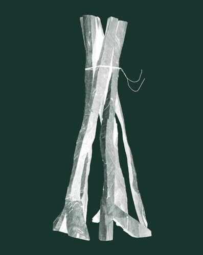 Georg Baselitz. Sculptures 2011-2015: Serpentine South / Kensington Gardens, London