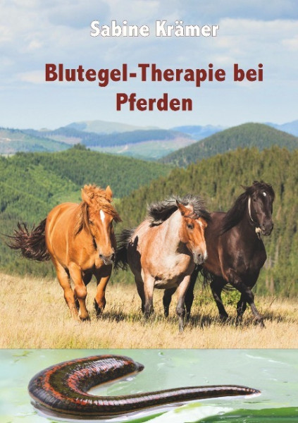 Blutegel-Therapie bei Pferden