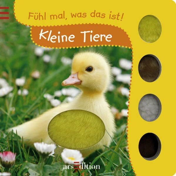 Fühlbuch: Kleine Tiere: Fühl mal, was das ist!