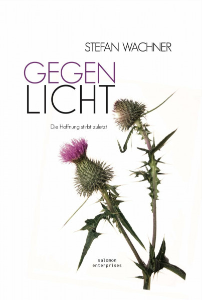 Gegenlicht Die Hoffnung stirbt zuletzt