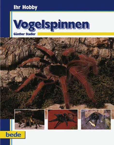 Vogelspinnen, Ihr Hobby
