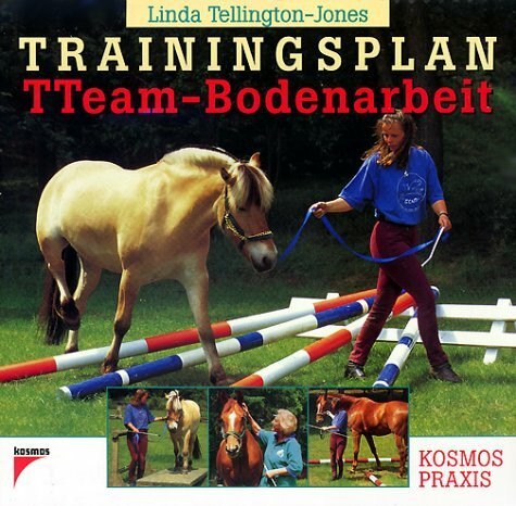 Trainingsplan TTeam-Bodenarbeit