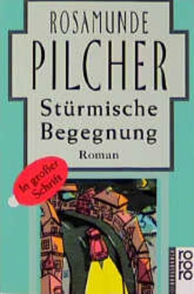 Stürmische Begegnung: Roman