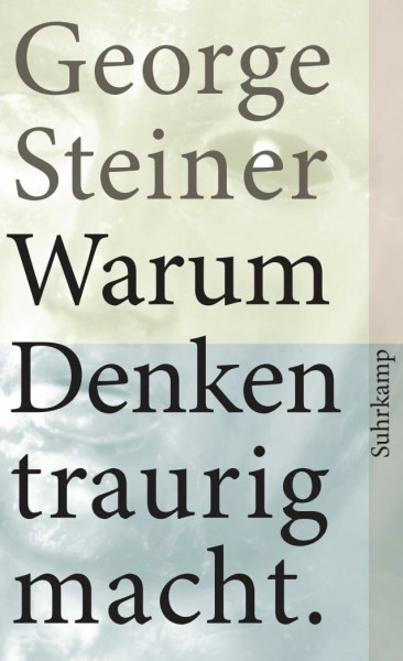 Warum Denken traurig macht: Zehn (mögliche) Gründe (suhrkamp taschenbuch)