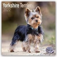Yorkshire Terriers - Yorkshire Terrier 2022 - 18-Monatskalender mit freier DogDays-App