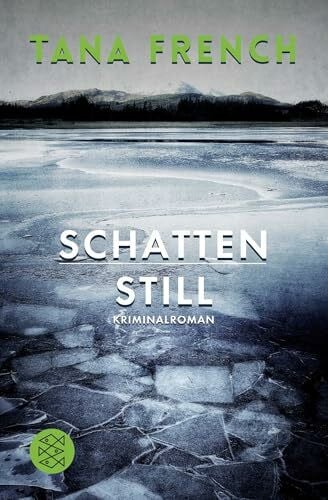 Schattenstill: Kriminalroman (Mordkommission Dublin, Band 4)