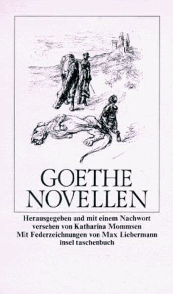 Novellen (insel taschenbuch)