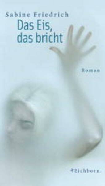 Das Eis, das bricht: Roman