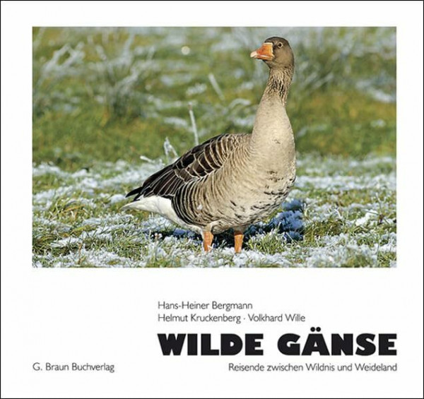 Wilde Gänse: Reisende zwischen Wildnis und Weideland