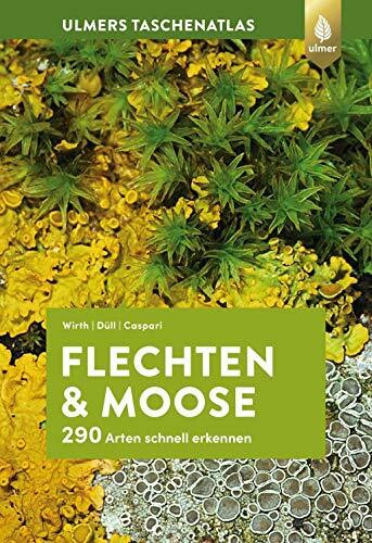 Flechten und Moose: 290 Arten schnell erkennen