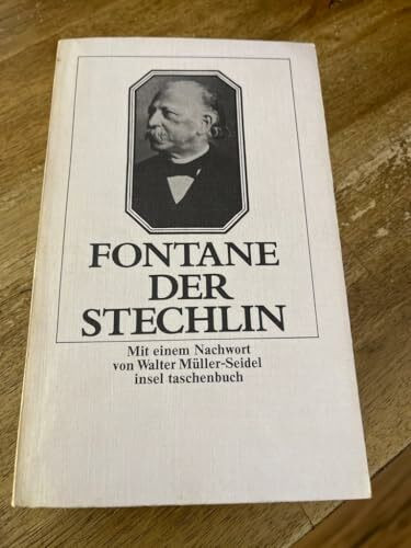Der Stechlin: Roman