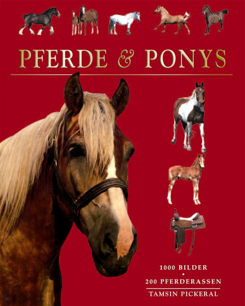 Pferde & Ponys