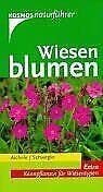 Wiesenblumen