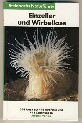 Steinbachs Naturführer: Einzeller und Wirbellose