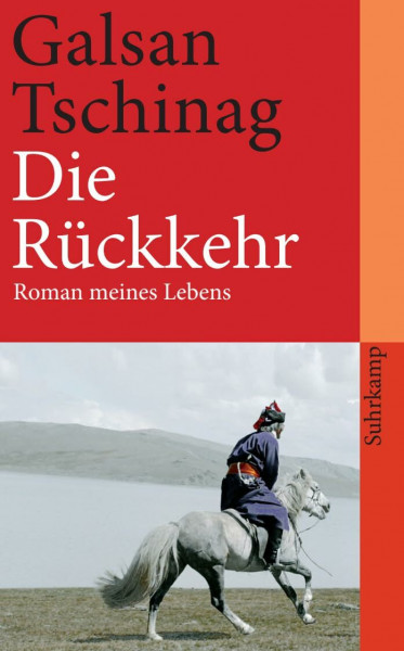 Die Rückkehr: Roman meines Lebens (suhrkamp taschenbuch)