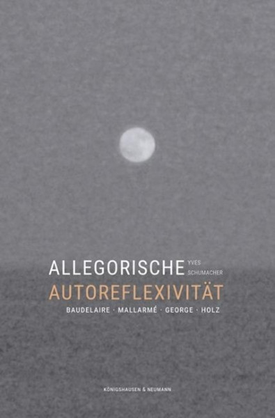 Allegorische Autoreflexivität