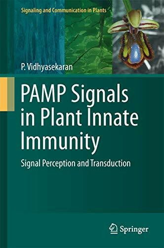PAMP Signals in Plant Innate Immunity: Signal Perception and Transduction (Signaling and Communication in Plants, 21, Band 21)