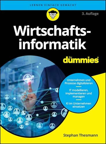 Wirtschaftsinformatik für Dummies